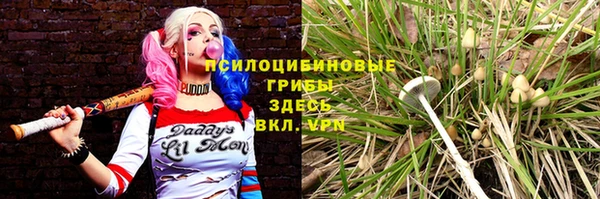 синтетический гашиш Нефтегорск